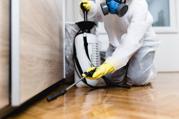 Best Local Pest Control Services  in Pine Mountain Lake, CA