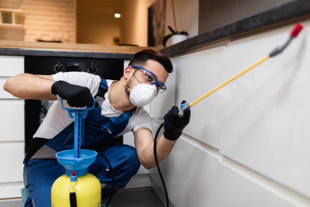 Best Exterminator Services  in Pine Mountain Lake, CA