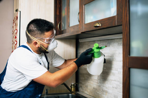 Best Wildlife Control Services  in Pine Mountain Lake, CA
