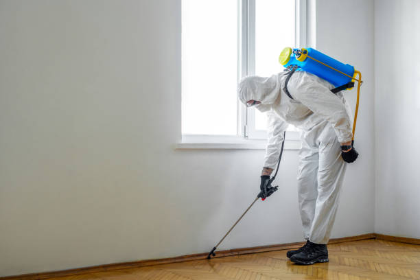 Best Residential Pest Control  in Pine Mountain Lake, CA
